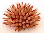 Custom Pencil Urchin 